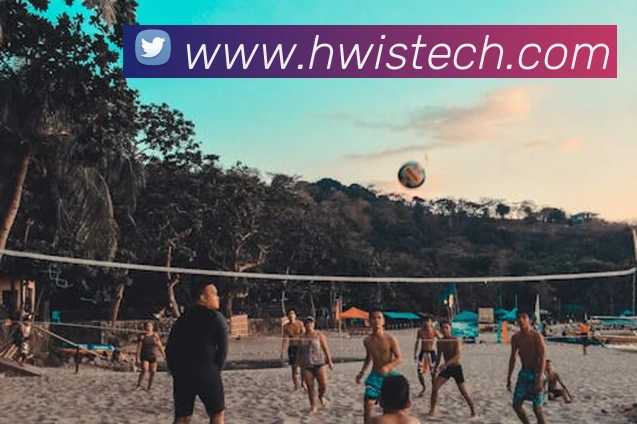 乐鱼官网app登录入口平台生态图