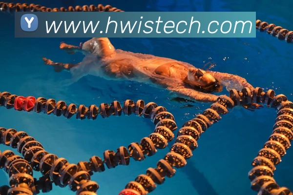 乐鱼官网app登录入口APP 封面图